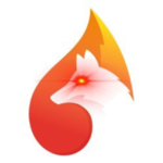 Foxy Equilibrium